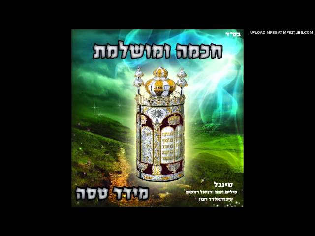 מידד טסה - חכמה ומושלמת - ווקאלי
