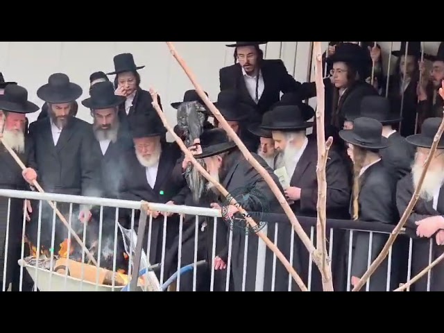 Gerer Rebbe Burning Chametz Erev Pesach 5786