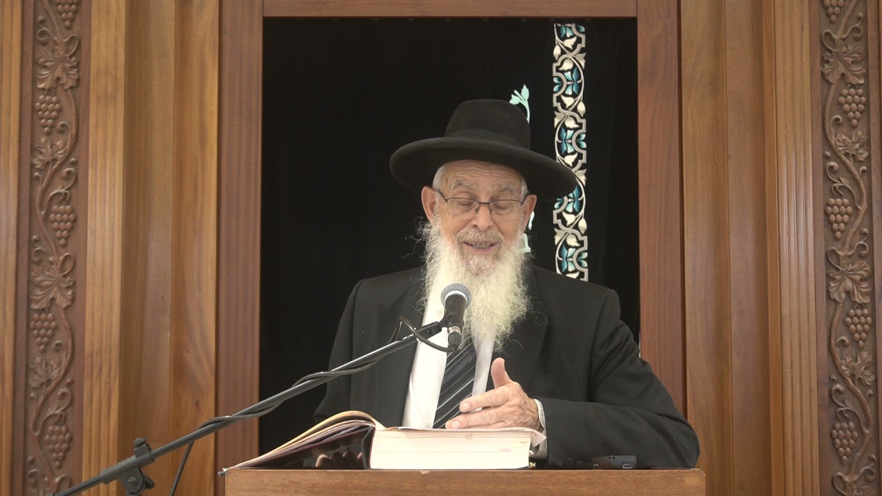 חצר שאינה בת חלוקה | שיעור כללי בבא בתרא- יא:  | הרב יעקב אריאל