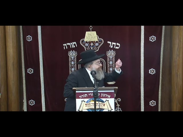 Seeing The Sunshine Through The Clouds - Rabbi Elozer B Bald