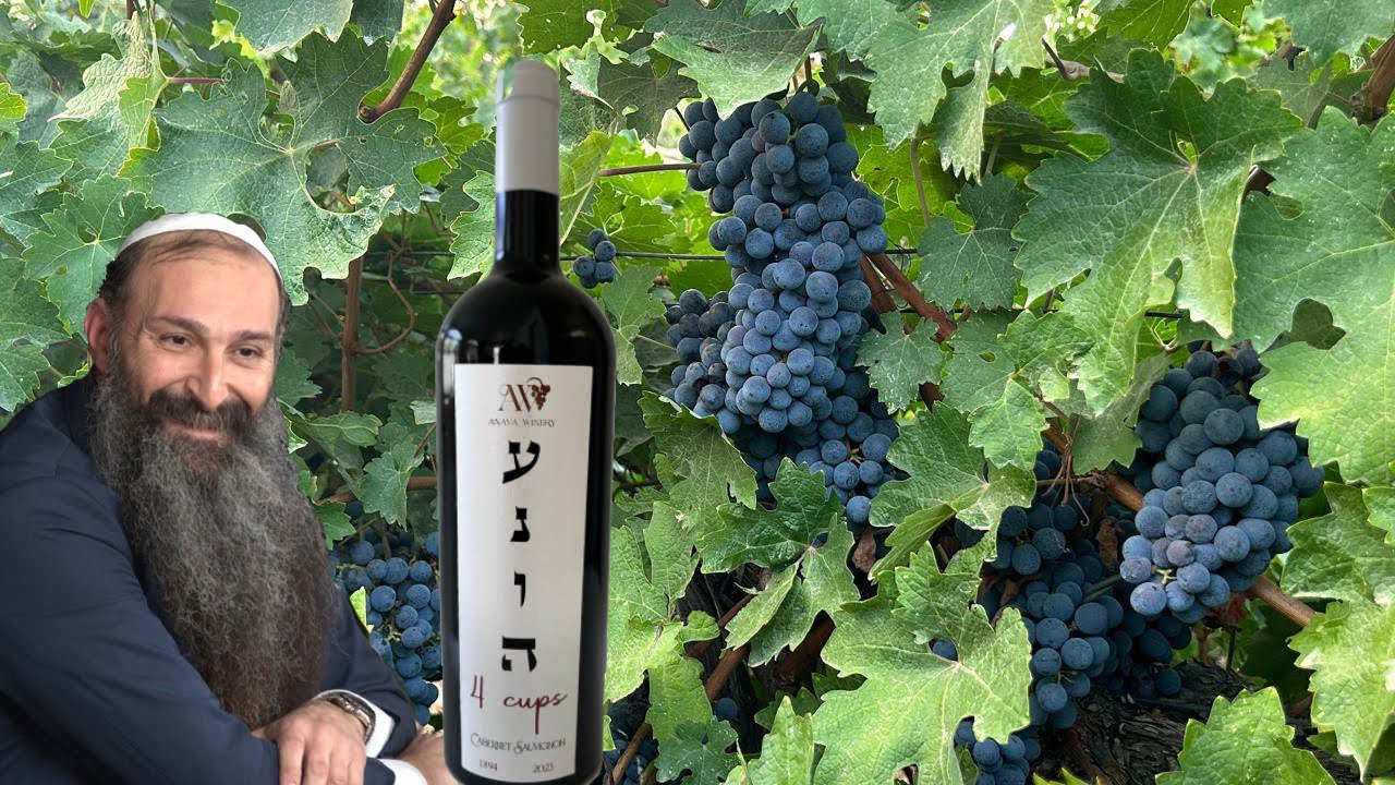 Rabbi Anava's NEW wine is available to purchase - Link in description