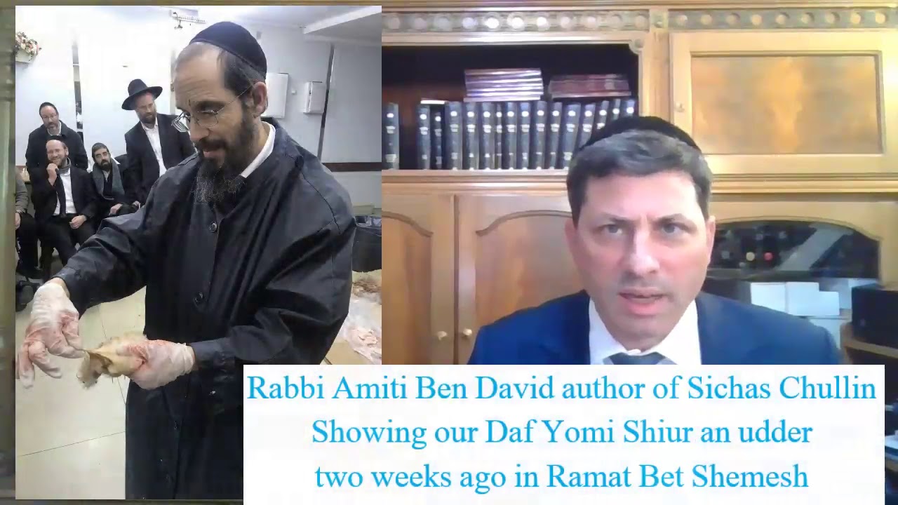 8 Min Daf - Chullin Daf 110  by R’ Eli Stefansky