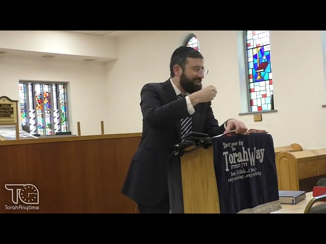 Journey to London 2024: Golders Green Torah Way - Pekudei: Back to the Garden of Eden