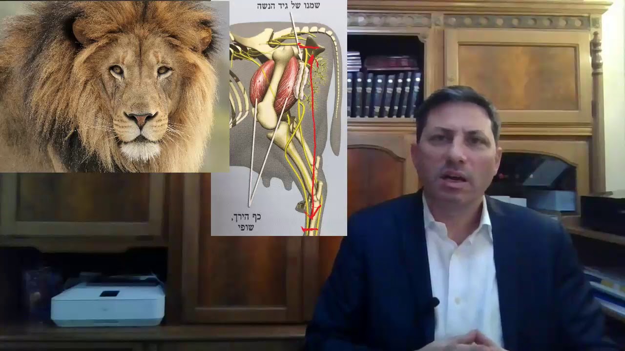 8 Min Daf - Chullin Daf 101  by R’ Eli Stefansky