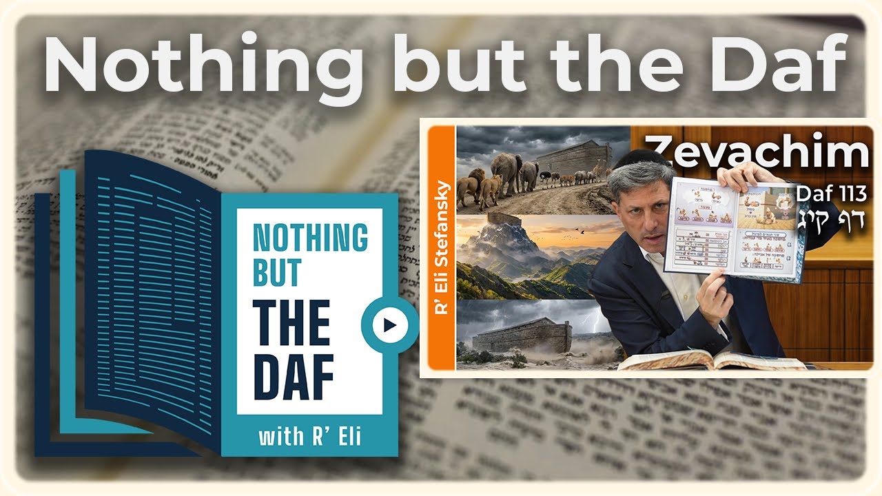 CHAZARAH - Zevachim Daf 113 | "Nothing but the Daf" with R' Eli Stefansky