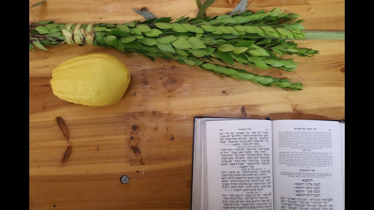 Halachos of the Daled Minim by Rabbi Bluming