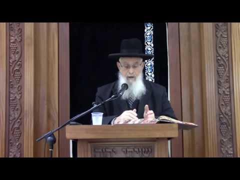 אין הולכין אחר הרוב בממון - מסכת כתובות - הרב יעקב אריאל
