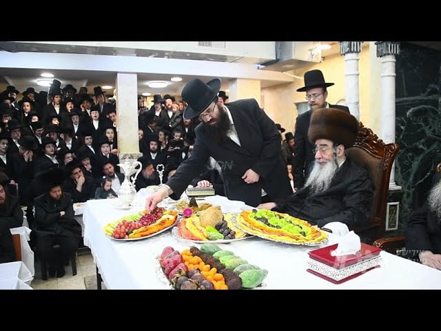 חמשה עשר בשבט אין חצר הקודש אלכסנדר