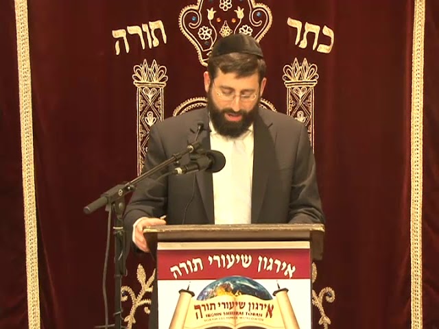 Restoring Malchus Beis Dovid Despite The Interference Of Enemies - Rabbi Daniel Glatstein