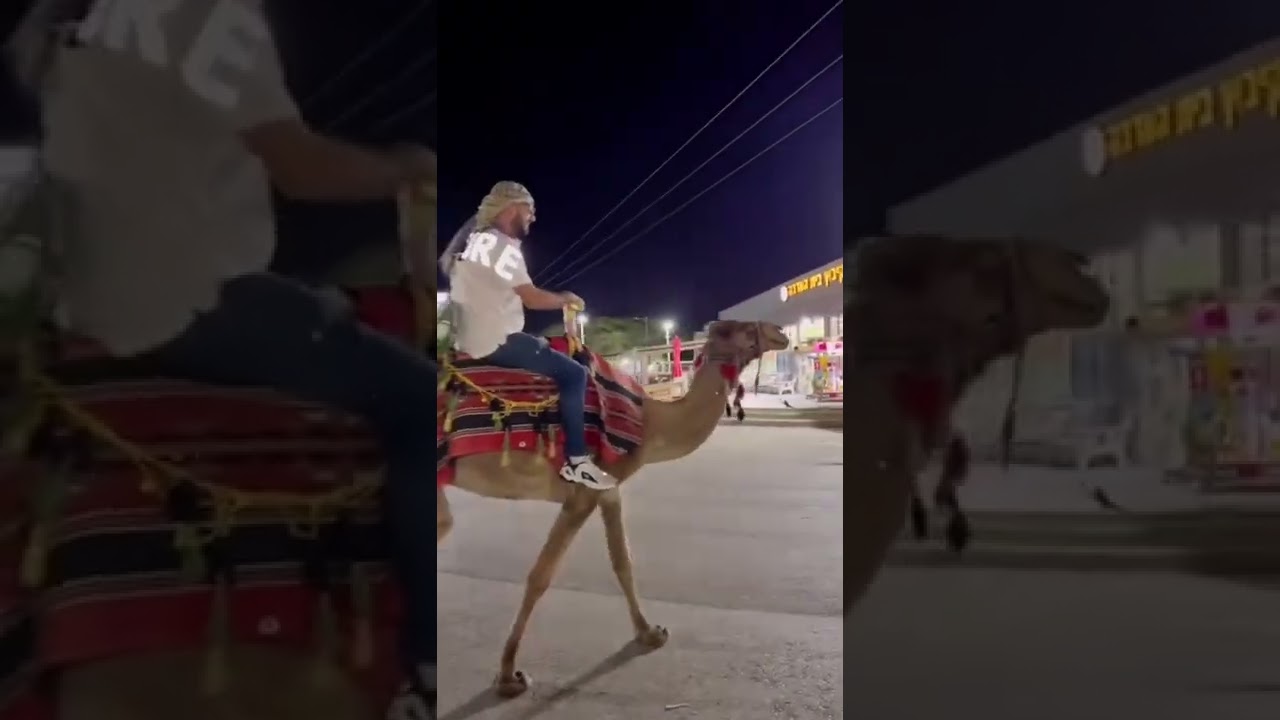 עובדות על גמל