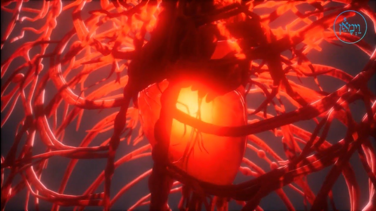 It All Starts with the Heart | Rabbi Moshe Malka