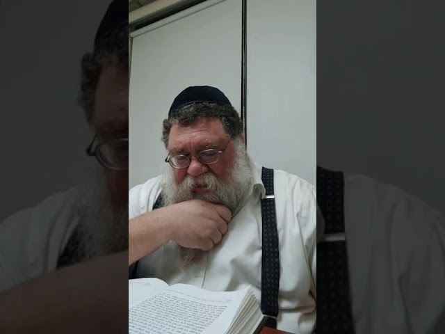 Practical Chasidus w R' Dalfin - Im Ruach HaMoishel 1924 #15 - Is there any good to the Tetzer Hara?