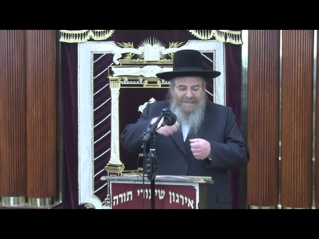 איסור הפעלת כח חשמלי בשבת - הרה"ג ר' שמחה בונם לייזרזון שליט"א