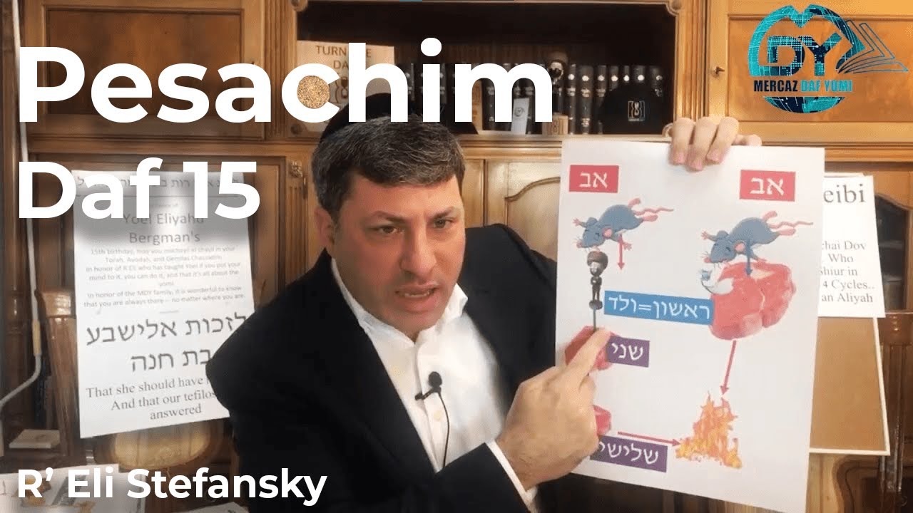 Daf Yomi Pesachim Daf 15 by R’ Eli Stefansky
