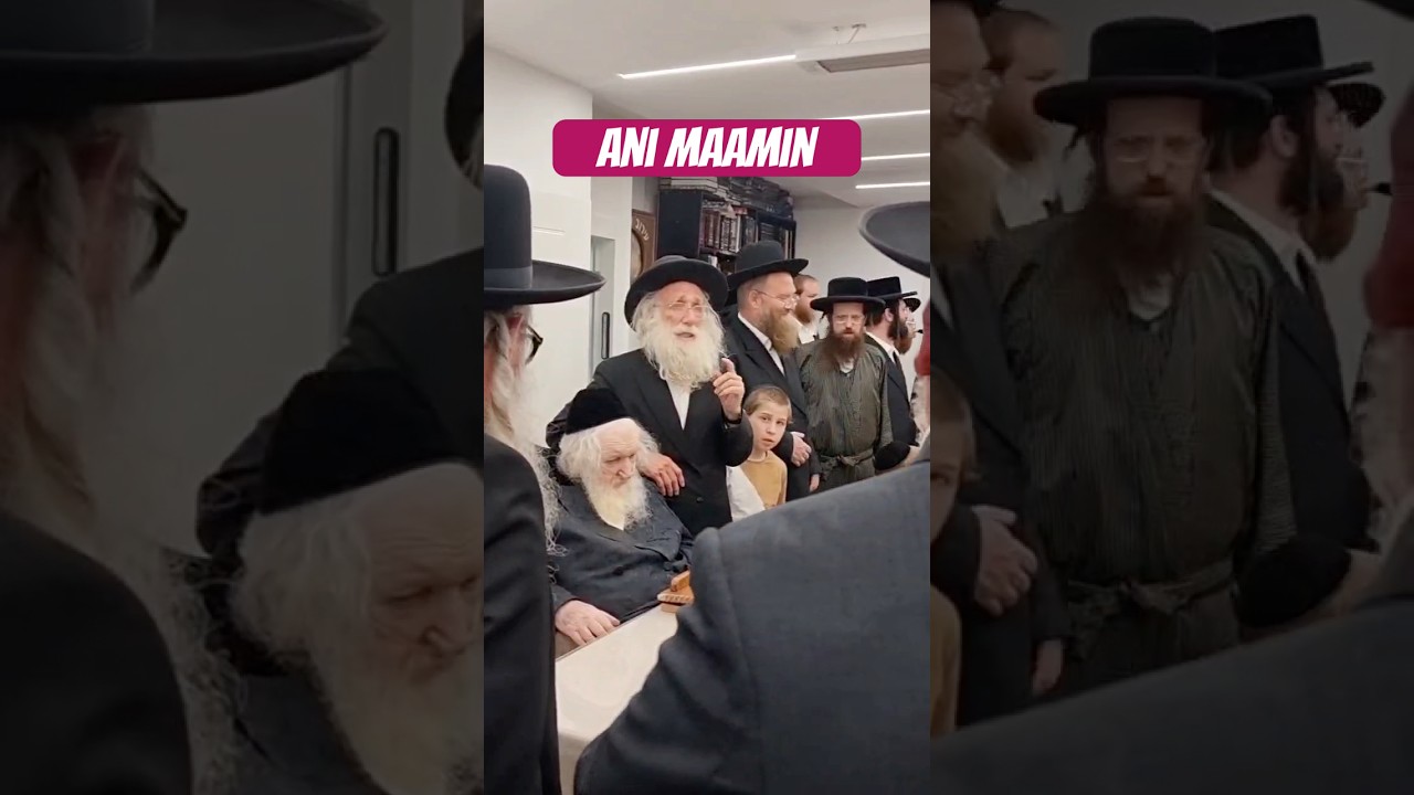 Helfgot: ani maamin!