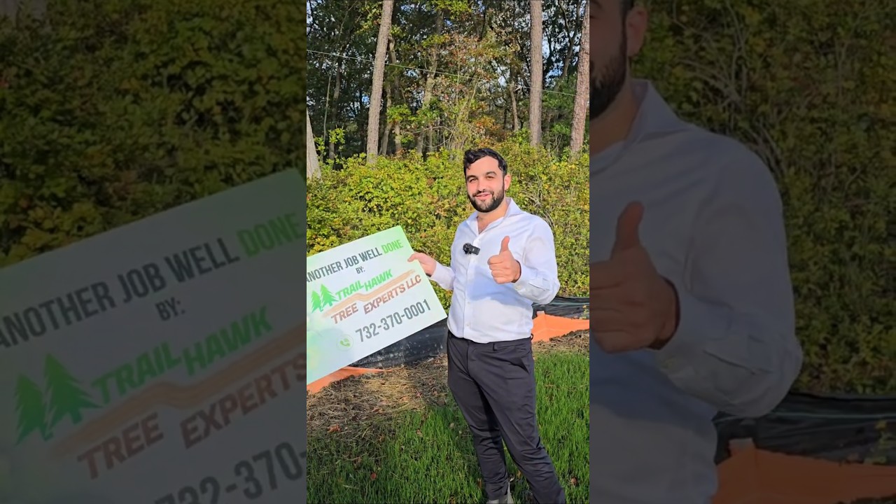 Trail Hawk Tree Experts | Tree Removal for Your Sukkah & Fruit Tree Transplanting experts