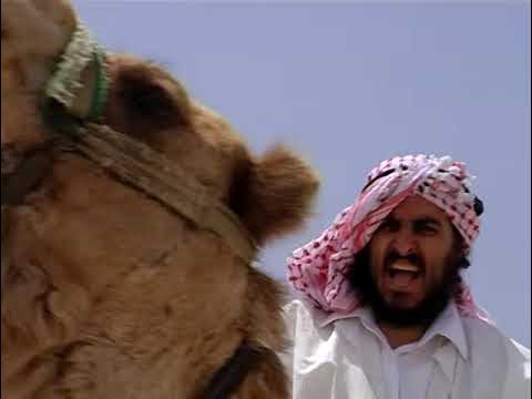 Langsam. Touring Israel