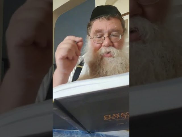 Take Responsibility - Rabbi Chaim Dalfin