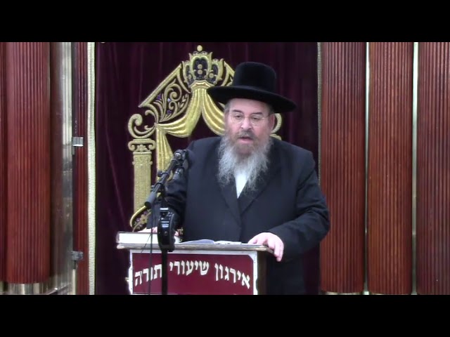 בירור מקיף בענין רחיצה ביו"ט - ר' שמחה בונם לייזרזון שליט"א