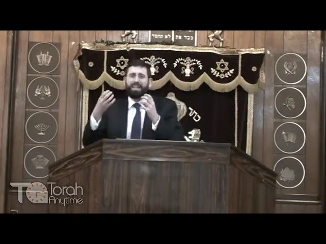 The Pesach Seder: The Radiance of the Chasam Sofer - The Night of Pesach Every Jew Shines