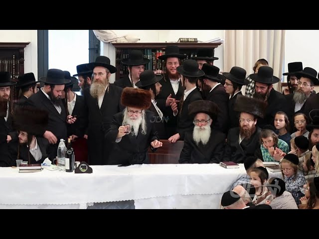 שמחת הברית פון אן אור אייניקל פון האדמו"ר מאמשינוב