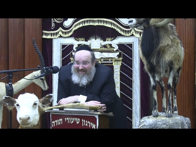 העבודה בבית המקדש: המחשה במציאות הענינים -  ר' שאול שמעון דויטש שליט"א