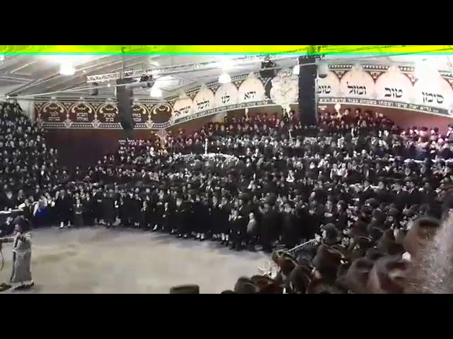 Bobov 45 Wedding - Cheshvan 5778