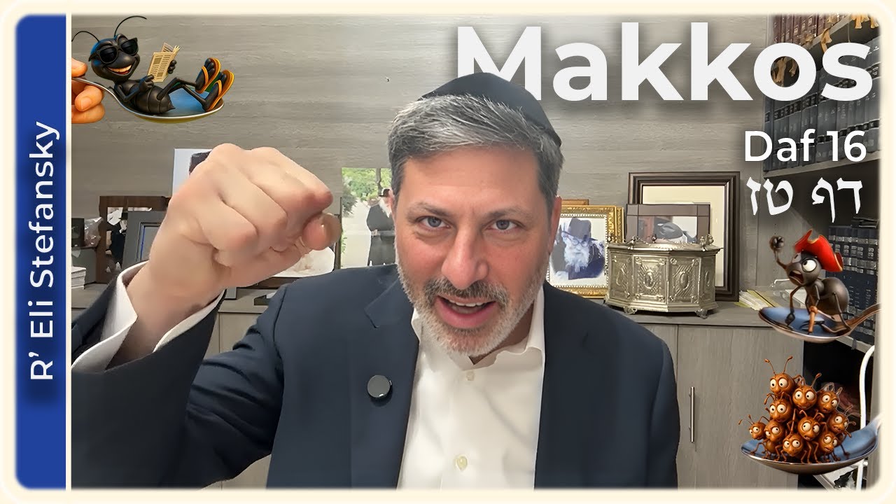 Daf Yomi Makkos Daf 16 by R’ Eli Stefansky