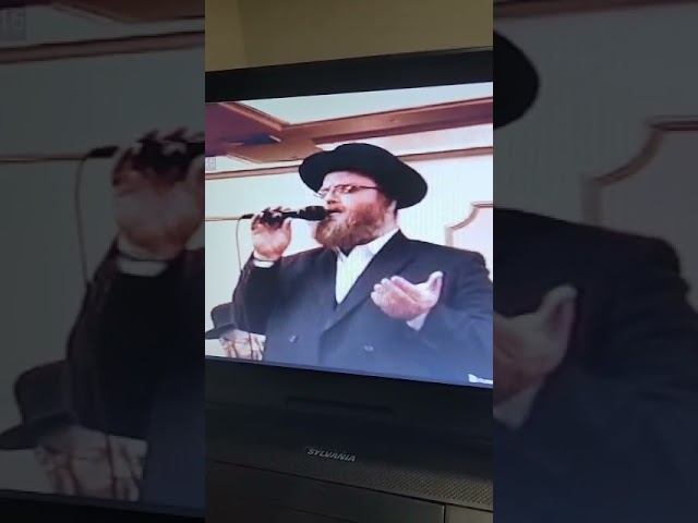 Michoel Schnitzler, Singing At The Beginning Of His Career