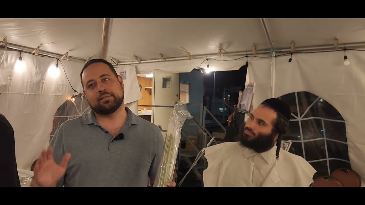 מאנסי אתרוגים