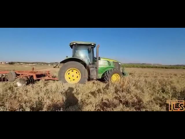 Shomrei Shviis farmer returns to his field today for the first time after leaving it a year ago