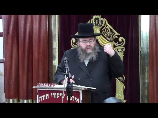 הכנה לפורים - הרב משה מאיר לדרמן