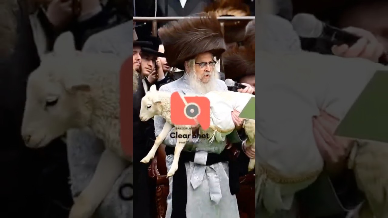 Pidyon Peter Chamor By Satmar Rebbe R’ Aaron - Chol Hamoed Pesach 2025 | פדיון פטר חמור בחצה”ק סאטמר