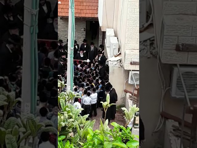 Viznitz Rebbe Listens to Children Chant The Simanim Of The Seder After Birkas Hailonos - Nissan 5778