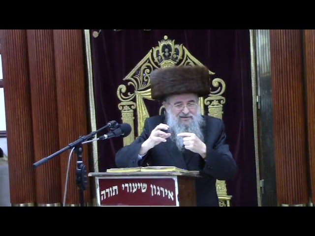 ענייני סוכות בהלכה ובאגדה - הרב נח אייזיק אלבוים