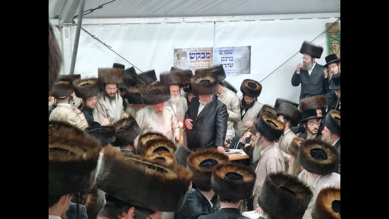 מסע הקודש פון כ"ק אדמו"ר מלעלוב שליט"א אין שטאט לעלוב