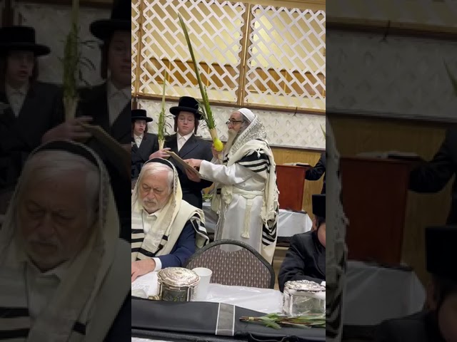 Koson Forshay Rebbe on Hoshana Rabbah 5785
