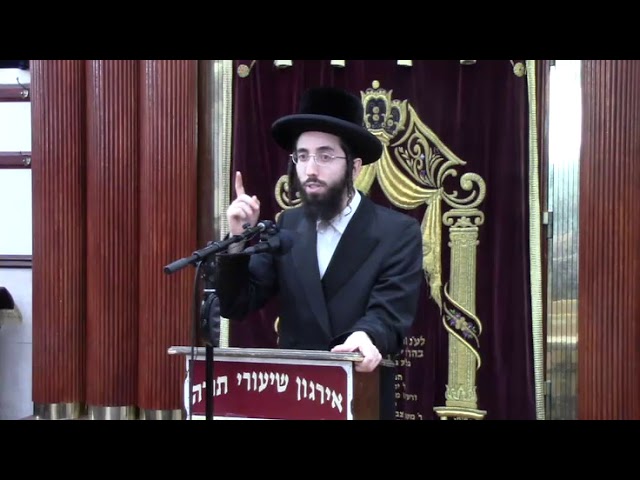 הישיבות בהלכה -  הרה"ג ר ' אלעזר ניסן רובין שליט"א