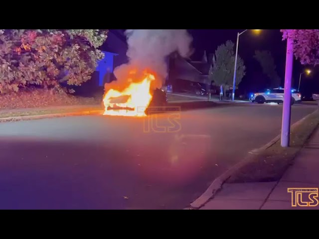 Car bursts into flames in Lakewood