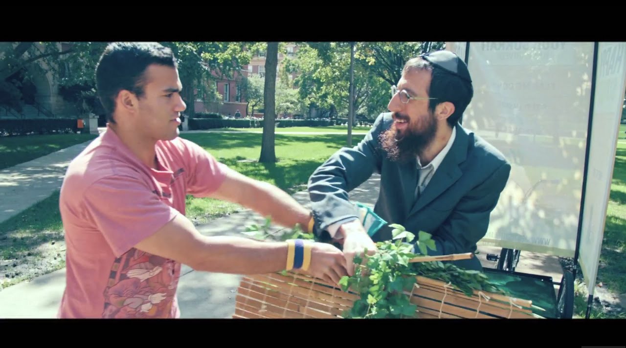 Rogers Park - Sukkah's Falling [OFFICIAL VIDEO]