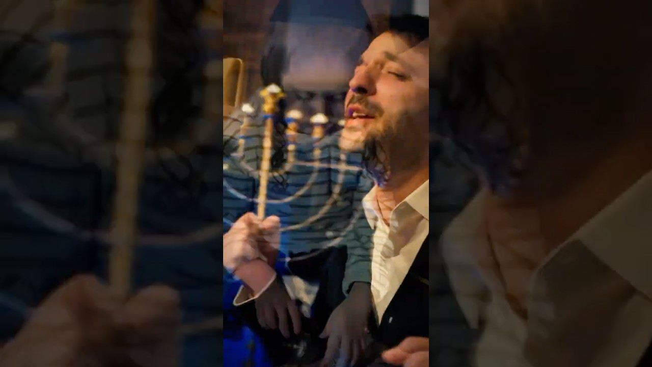 דניאל אלישע - כל העולם זורח | Daniel Elisha - Kol HaOlam Zoreach
