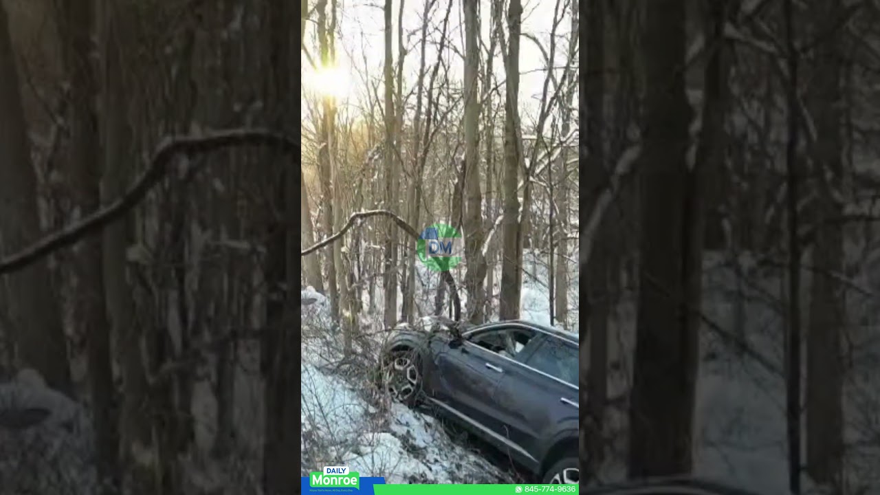 Vehicle Went Off The Road & Into The Woods on Timber Trail.