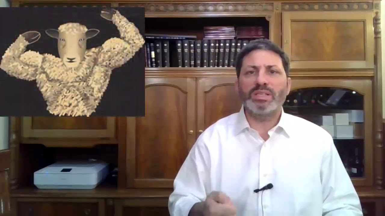 Hebrew סיכום הדף בעברית בכורות דף יח