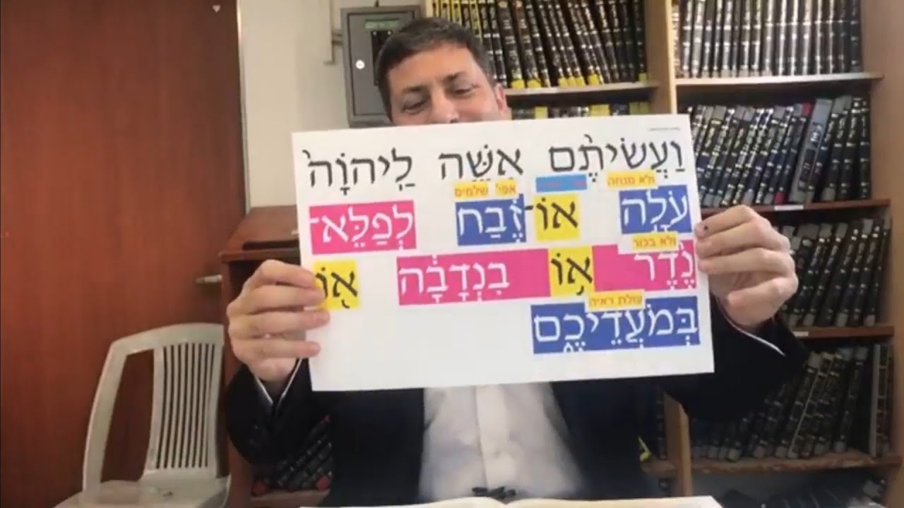 Daf Yomi Menachos Daf 90 by R’ Eli Stefansky