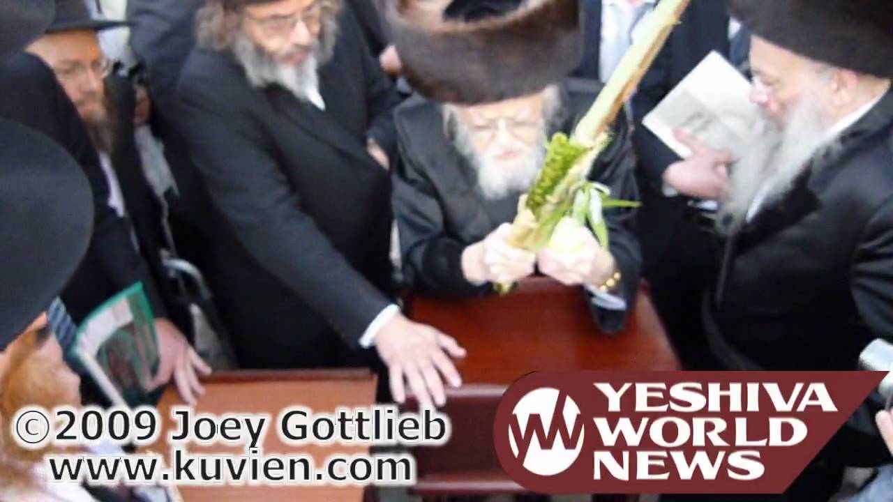 HaRav Sholom Yosef Eliashiv bentching Lulav and Esrog at the Kosel