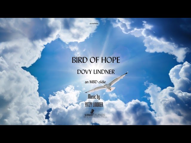 Bird of hope - MBD cover - Dovy & Yitzy Lindner