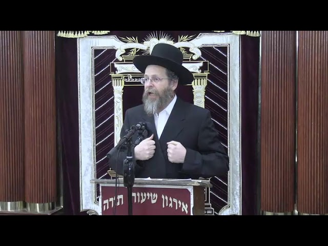 לא תשנא אחיך בלבבך - ר' אליעזר בוים שליט"א