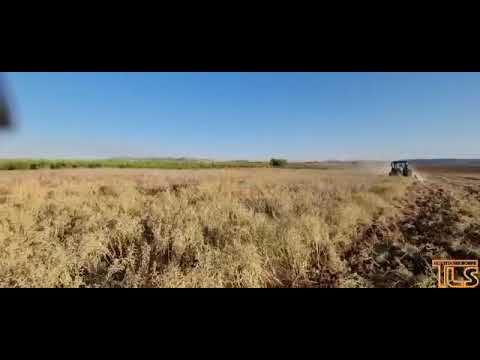 Shomrei Shviis farmer returns to his field for the first time after leaving it a year ago part 2