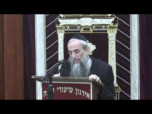 Summary: Who Should Be The Mezamain? - Rabbi Yakov Zev Smith