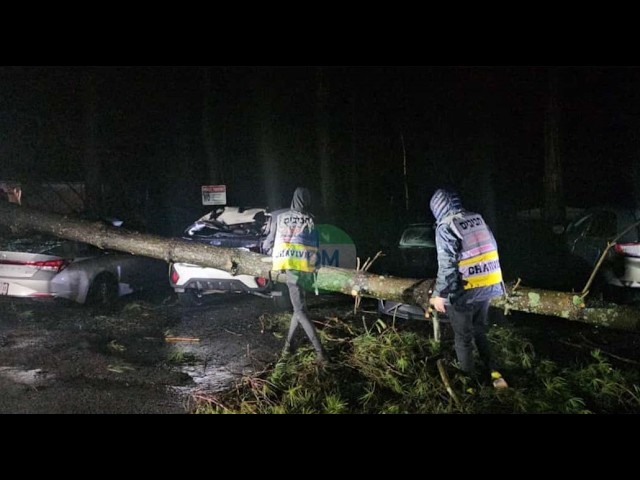 Tree fell onto parked cars on Heritage Drive, causing damage. State Police and Chavivim assisted.